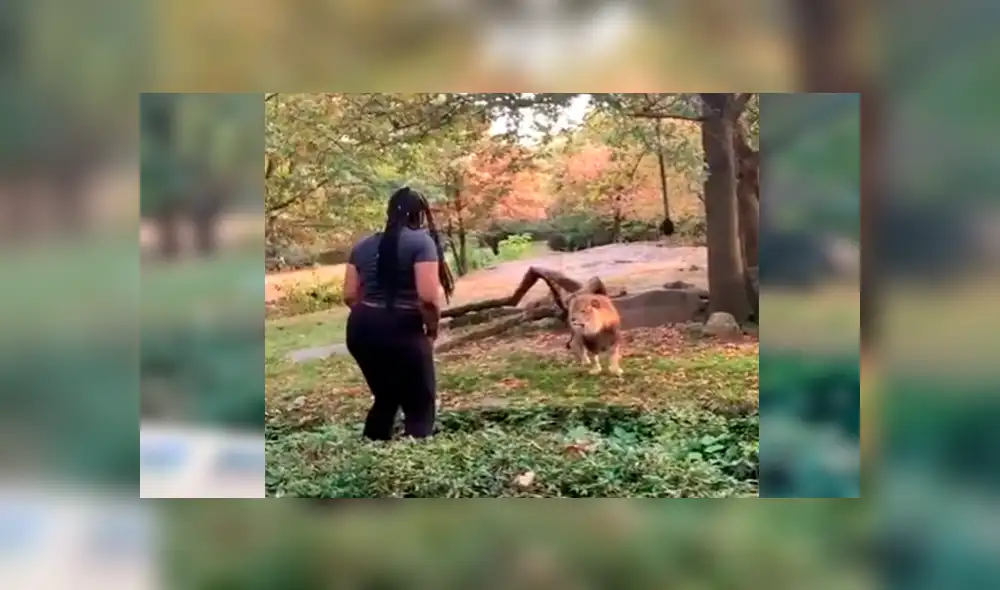 En Facebook, una mujer visitó un zoológico y tuvo una acción imprudente al ingresar a un santuario de leones. En Facebook, una mujer visitó un zoológico y tuvo una acción imprudente al ingresar a un santuario de leones.