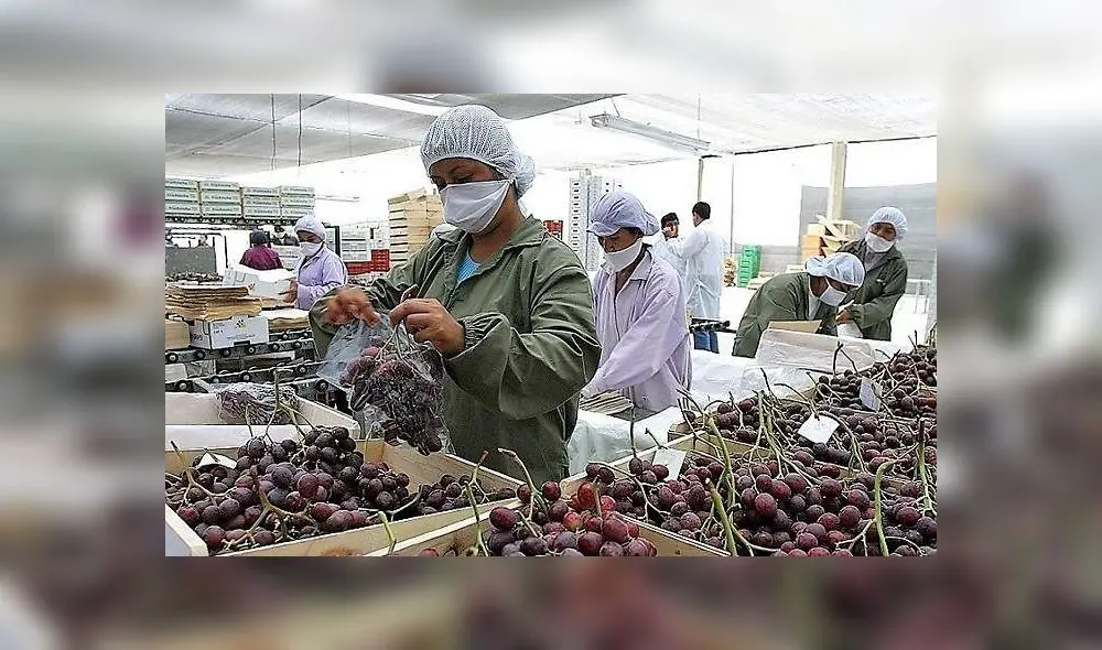 CAMCO asegura que exportaciones se verían beneficiadas.