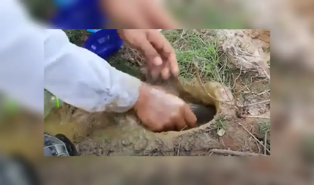 Desliza hacia la izquierda para ver las imágenes del viral de Facebook. Foto: Captura. Desliza hacia la izquierda para ver las imágenes del viral de Facebook. Foto: Captura.