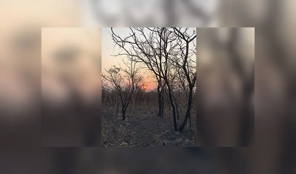 Imagen captada el 20 de agosto de 2019 evidencia el estado de un área afectada por un incendio forestal en el estado de Mato Grosso. (FOTO: Rogerio Florentino / EFE) Imagen captada el 20 de agosto de 2019 evidencia el estado de un área afectada por un incendio forestal en el estado de Mato Grosso. (FOTO: Rogerio Florentino / EFE)