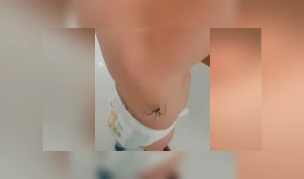 Facebook viral: bebé descubre que enorme araña caminaba por su brazo y tiene insólita reacción Facebook viral: bebé descubre que enorme araña caminaba por su brazo y tiene insólita reacción