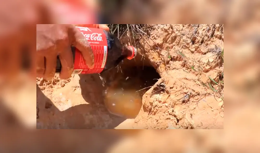 Desliza hacia la izquierda para ver el experimento que se viralizó en YouTube.