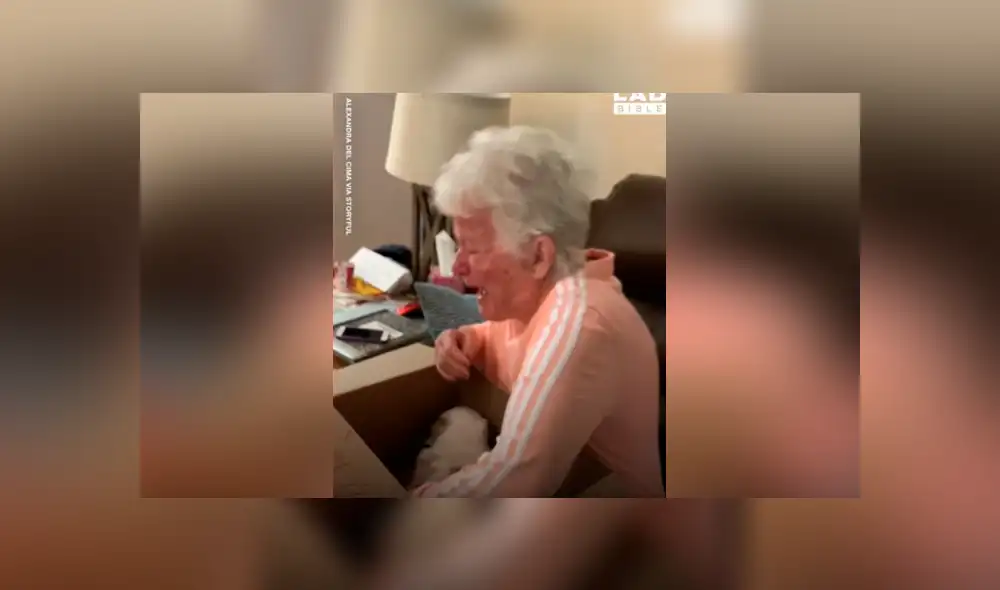 Facebook viral: mujer le regala cachorro a su madre y anciana tiene dramática reacción al verlo