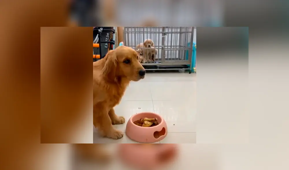 Desliza para ver todas las fotos de Facebook. Foto: captura