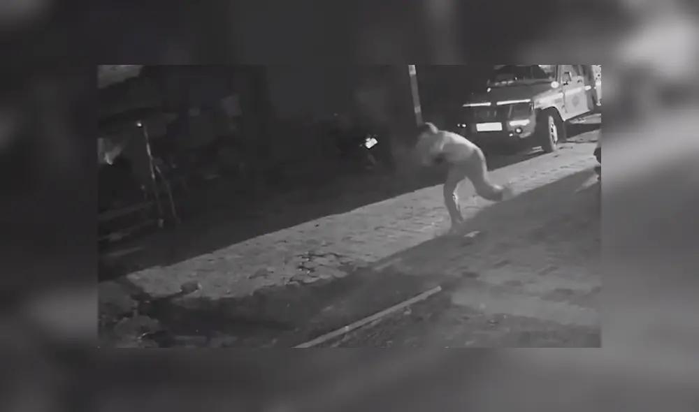 y se lo lanza al depredador que intentaba huir con su ganado. y se lo lanza al depredador que intentaba huir con su ganado.