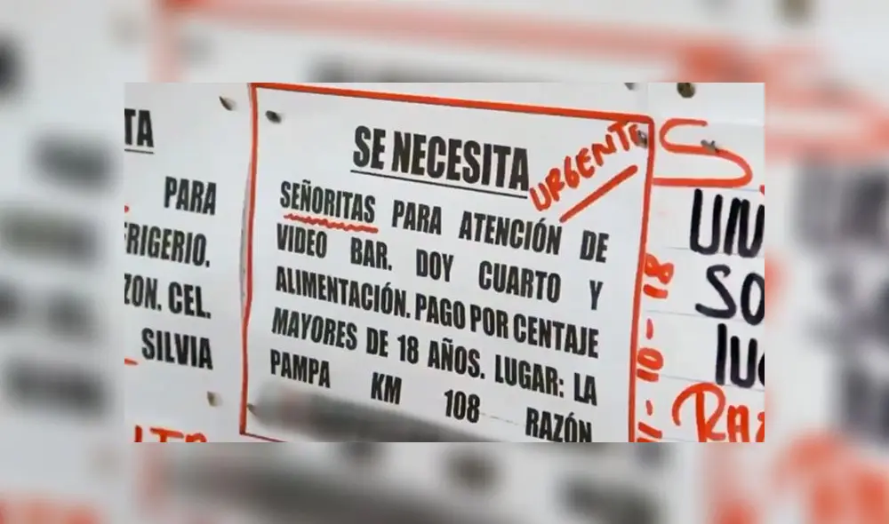 Anuncio de empleo publicado en la empresa del futuro congresista de Madre de Dios, Alex Lozano. Foto: Captura de pantalla. Anuncio de empleo publicado en la empresa del futuro congresista de Madre de Dios, Alex Lozano. Foto: Captura de pantalla.