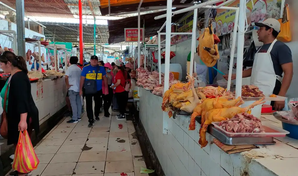 el contagio solo se puede dar entre las propias aves.