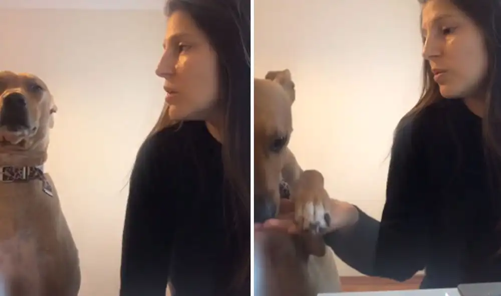 Desliza hacia la izquierda para ver más imágenes de esta peculiar 'conversación' entre una joven y su perro. Foto: captura de TikTok