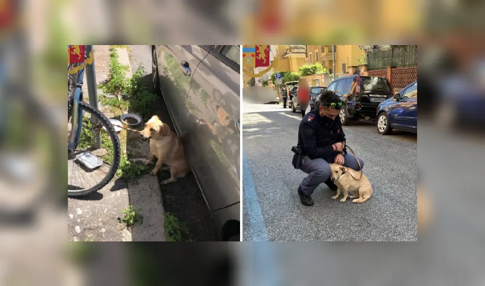 Desliza para ver más fotos de este noble gesto de un policía hacia una perrita que fue abandonada. (Foto: Facebook / Questura di Roma)