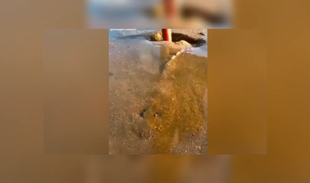 Facebook viral: se topa con misterioso lodo que ‘respira’, se asoma y descubre lo más insólito Facebook viral: se topa con misterioso lodo que ‘respira’, se asoma y descubre lo más insólito