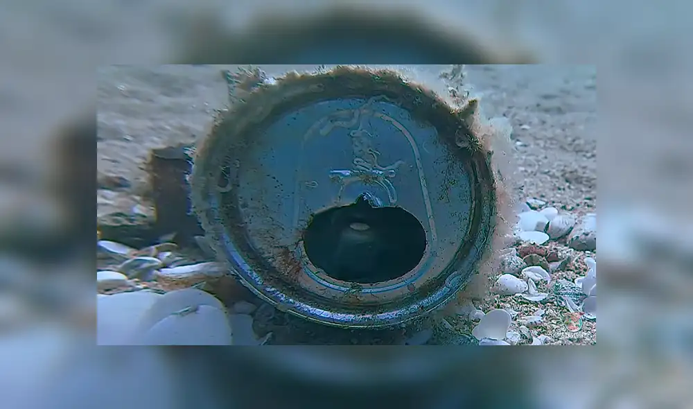 Desliza para ver los detalles de este video viral publicado en YouTube. Foto: Captura. Desliza para ver los detalles de este video viral publicado en YouTube. Foto: Captura.