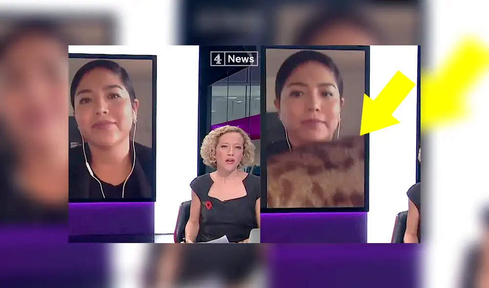 Twitter: joven es interrumpida de la peor forma por su gato cuando daba entrevista en vivo [VIDEO]