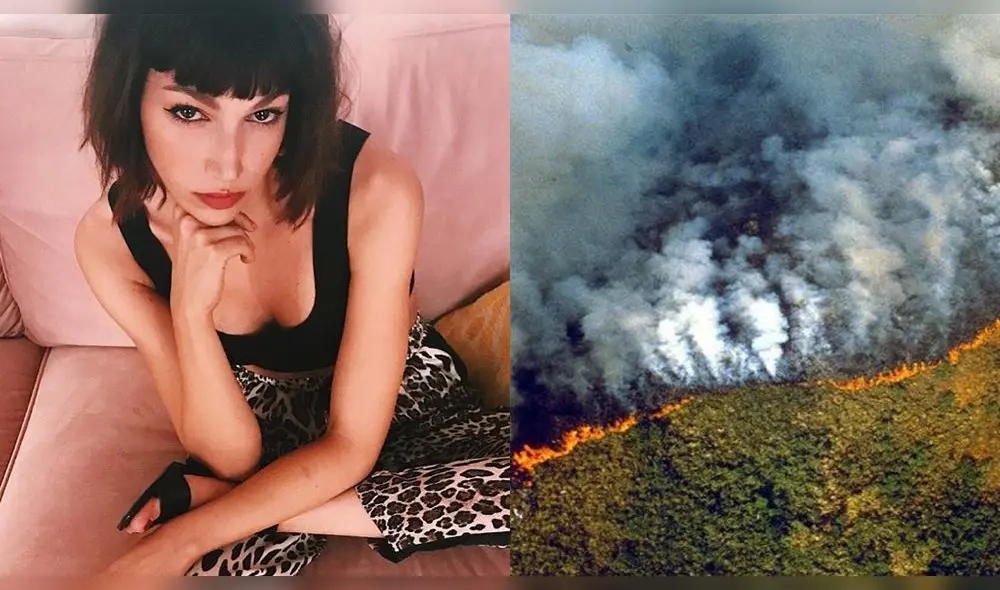 Incendio en Amazonas