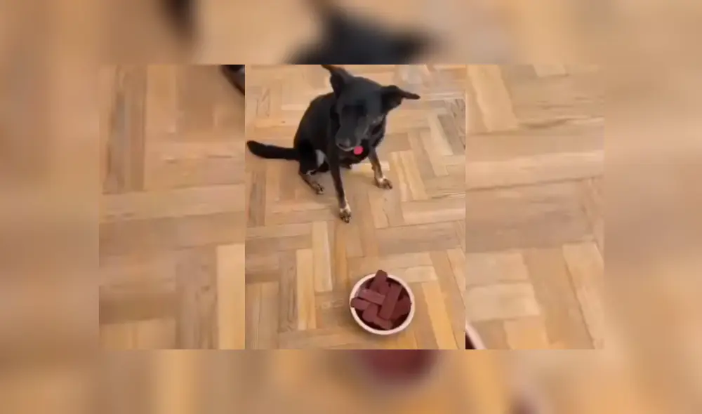 Desliza hacia la izquierda para ver más del video viral. Fotocaptura: Twitter Desliza hacia la izquierda para ver más del video viral. Fotocaptura: Twitter