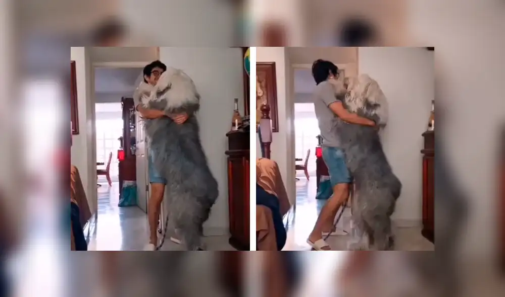Desliza las imágenes hacia la izquierda para conocer los graciosos movimientos que hizo un joven junto a su perro. Foto: Captura.