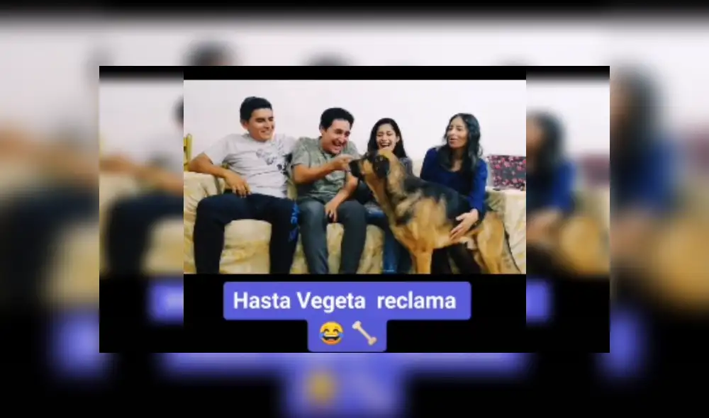 Desliza las imágenes para ver más detalles de esta cómica escena que es viral en Facebook.