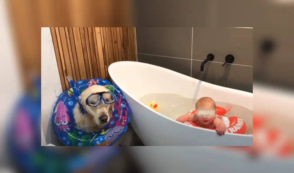 Desliza las imágenes para ver más detalles de esta peculiar escena que es viral en YouTube. Desliza las imágenes para ver más detalles de esta peculiar escena que es viral en YouTube.