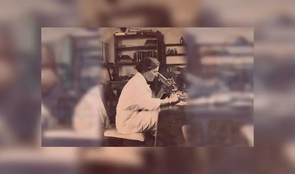 Lucy Wills: Cómo descubrió la cura para la anemia