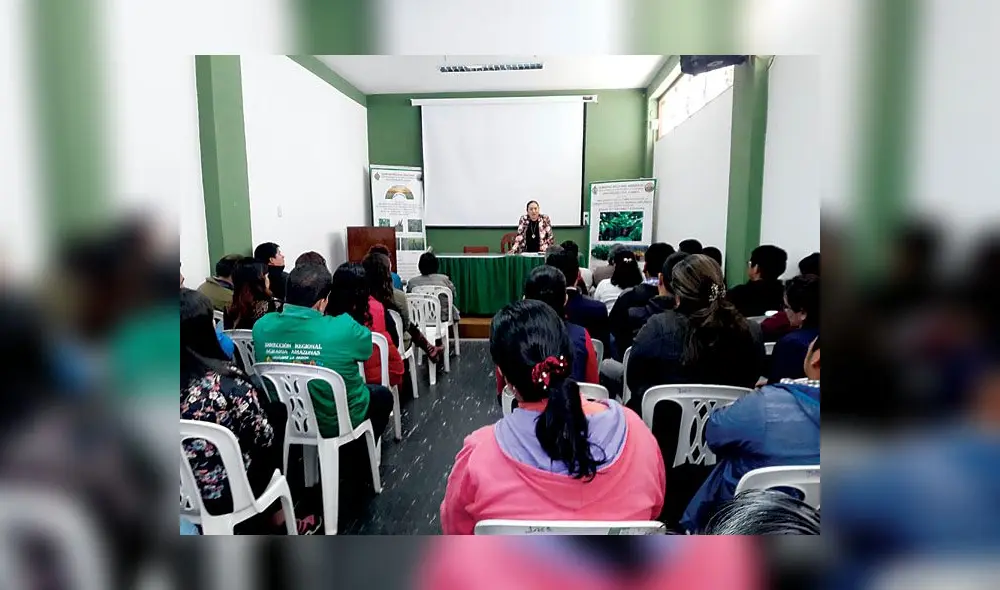 Investigan irregularidades en Sunarp de Chachapoyas Investigan irregularidades en Sunarp de Chachapoyas