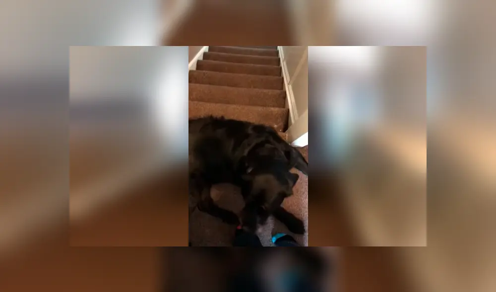 Desliza hacia la izquierda para ver las imágenes del video viral de YouTube.