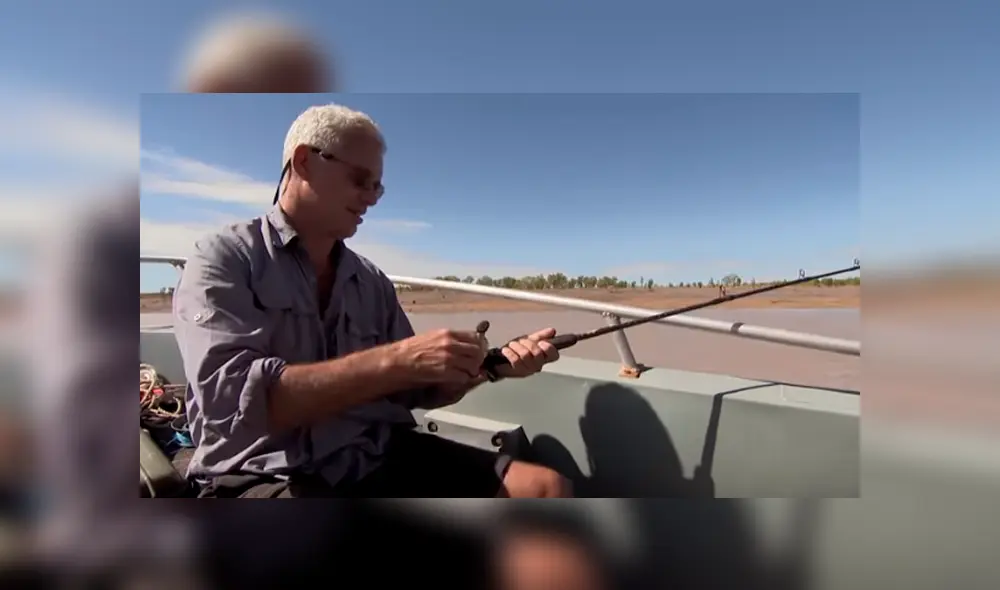 Desliza hacia la izquierda para el aspecto del tiburón toro. Imagen viral en YouTube.