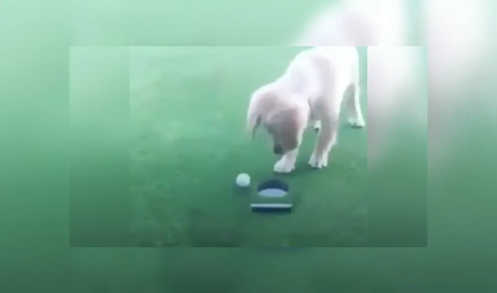 Desliza las imágenes para ver más detalles sobre esta escena que ha hecho reír a muchos en Facebook. Desliza las imágenes para ver más detalles sobre esta escena que ha hecho reír a muchos en Facebook.