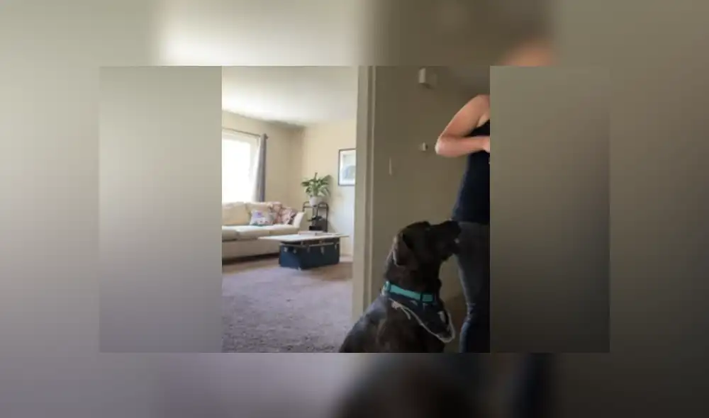 Desliza hacia la izquierda para ver las imágenes del viral de YouTube. Desliza hacia la izquierda para ver las imágenes del viral de YouTube.