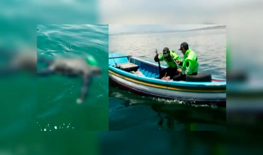 Puno: Hallan más cadáveres de víctimas que murieron en el Lago Titicaca