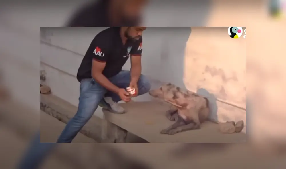 Desliza hacia la izquierda para ver las imágenes del viral de Facebook. Foto: Captura. Desliza hacia la izquierda para ver las imágenes del viral de Facebook. Foto: Captura.