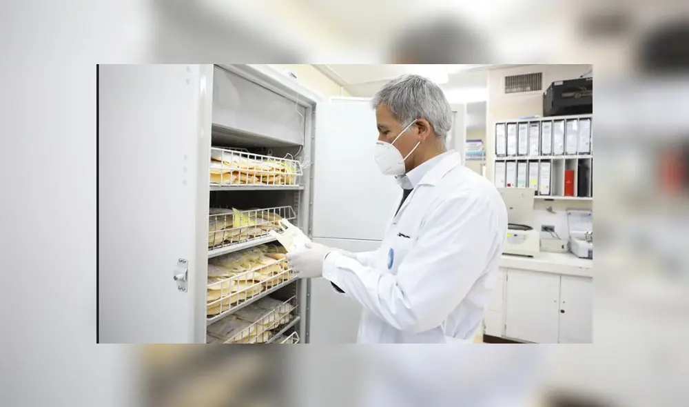 El protocolo de investigación será desarrollado por especialistas del Hospital Edgardo Rebagliati e investigadores del IETSI. (Foto: EsSalud)