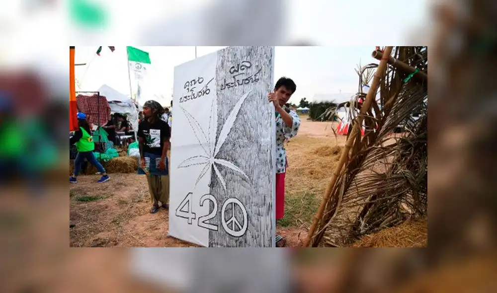 Tailandia celebra gran fiesta de marihuana tras legalización para uso médico [FOTOS]