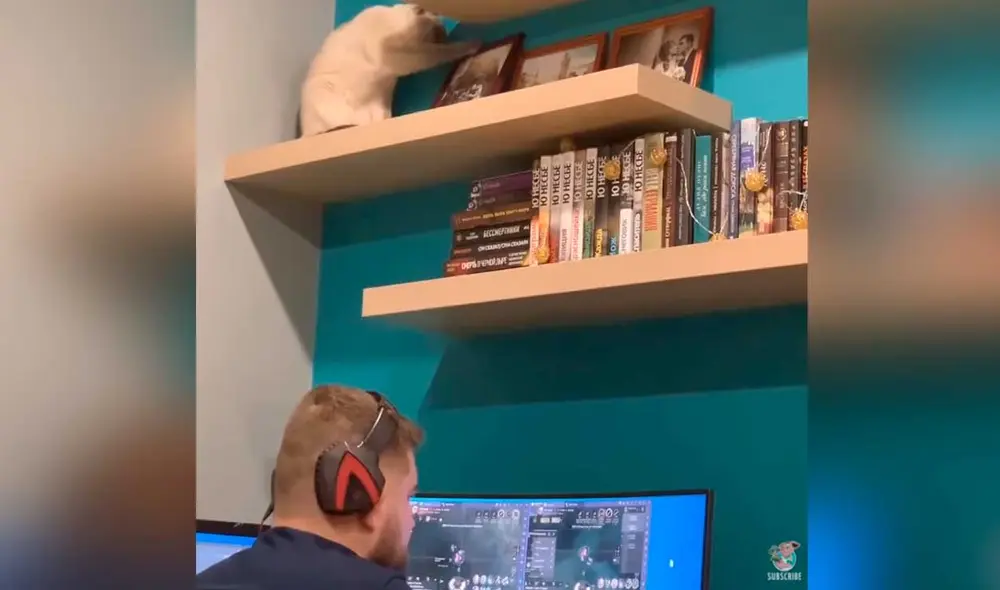 Desliza las imágenes para ver la curiosa escena que protagonizó este gato para llamar la atención de su dueño. Foto: captura de YouTube/Viral Hog