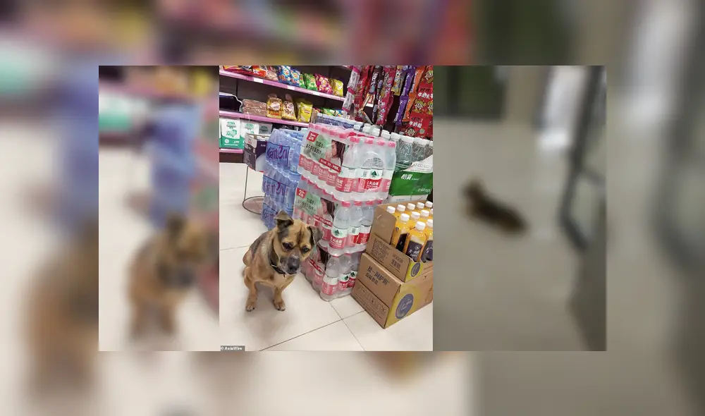 Desliza para ver los detalles de esta historia que se viralizó en Facebook. Foto: Captura.