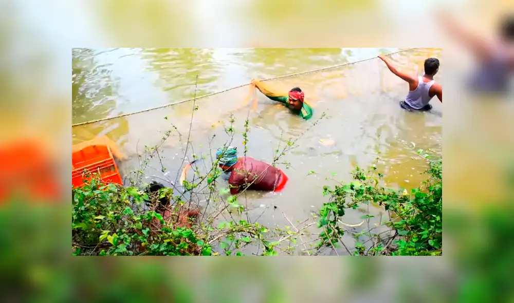 YouTube viral: arrojan enorme red en profundo lago y miles de misteriosas criaturas emergen YouTube viral: arrojan enorme red en profundo lago y miles de misteriosas criaturas emergen