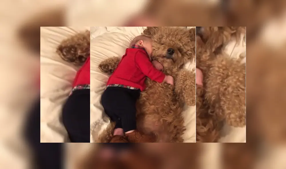 Desliza hacia la izquierda para ver más del video viral