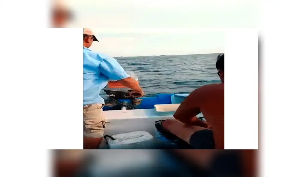 Pescadores logran rescatar a un perro que nadaba y luchaba por su vida en mar abierto [VIDEO]