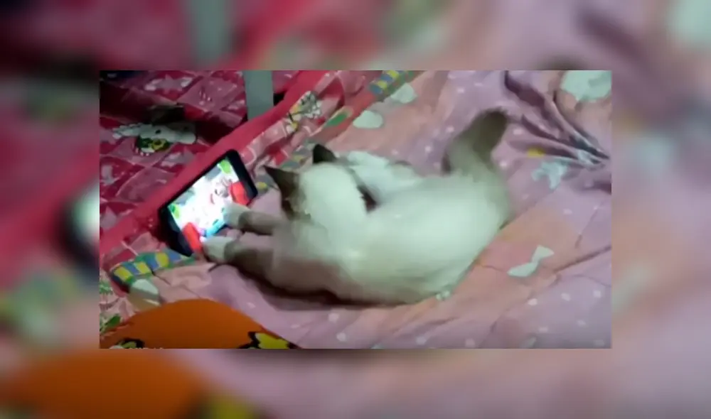 Desliza hacia la izquierda para ver más del video viral. Desliza hacia la izquierda para ver más del video viral.