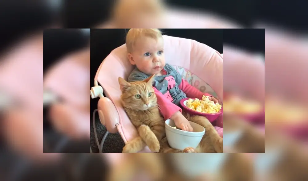 Desliza las imágenes hacia la izquierda para apreciar la emotiva escena que protagonizaron una bebé junto a su gato.