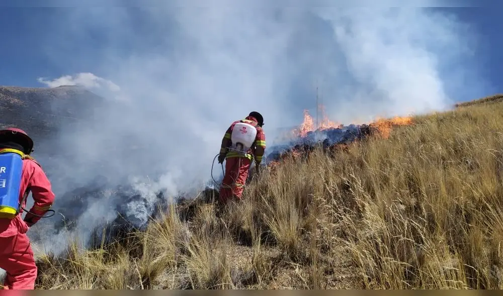 Bomberos apoyaron en las labores de control de los incendios. Foto: COER