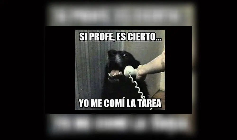 En Facebook usuarios rinden honor por el Día del Maestro con llamativos memes En Facebook usuarios rinden honor por el Día del Maestro con llamativos memes