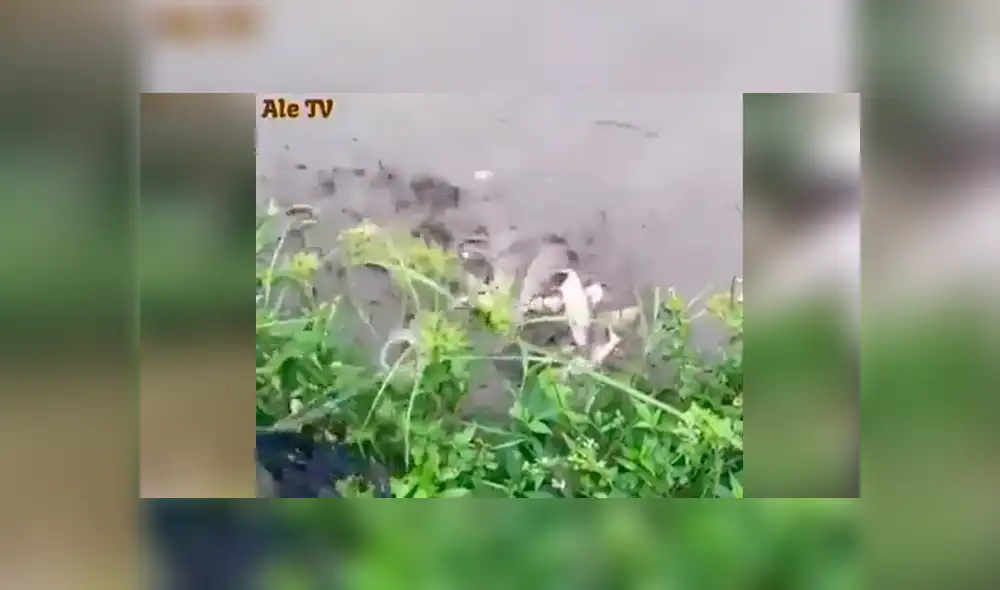 YouTube viral: misterioso lago fue visitado por pescador que arrojó sus redes y atrapó esto [VIDEO]