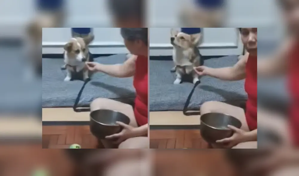 Desliza hacia la izquierda para ver más del video viral. Fotocaptura: YouTube Desliza hacia la izquierda para ver más del video viral. Fotocaptura: YouTube