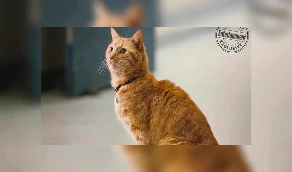 Capitana Marvel: Se dan a conocer nuevas imágenes de la cinta y fans tienen curiosa reacción