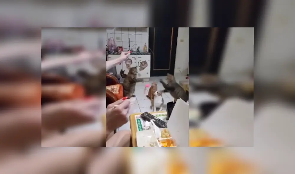 Desliza las imágenes para ver más sobre esta escena que es viral en YouTube. Desliza las imágenes para ver más sobre esta escena que es viral en YouTube.