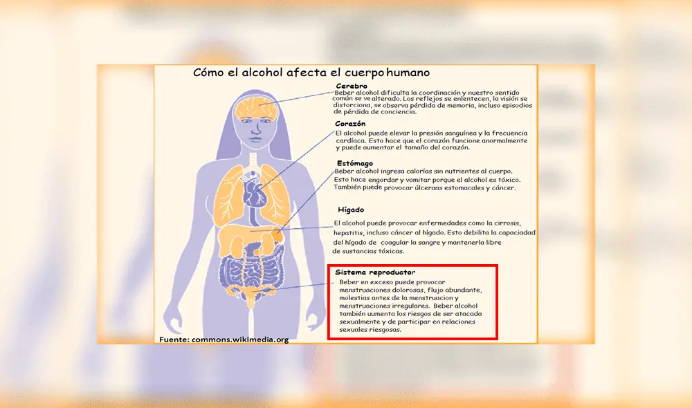 El contenido estaba destinado a alumnos del 4to Grado. Foto: captura Curriculum Escolar. El contenido estaba destinado a alumnos del 4to Grado. Foto: captura Curriculum Escolar.