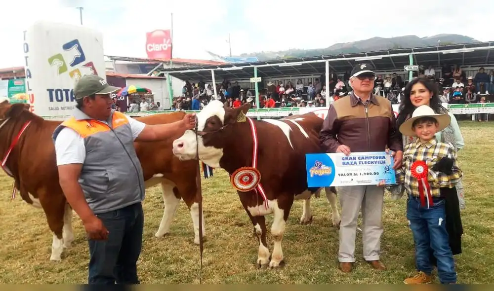 Cajamarca: Feria Fongal llega a su fin tras revalorar el sector agropecuario 