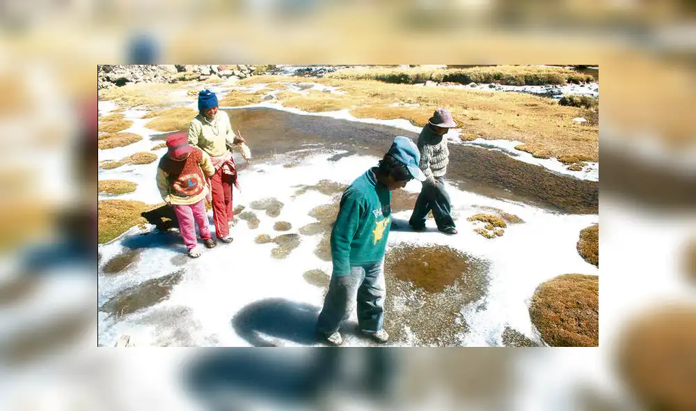  Declaran en emergencia a 74 distritos del sur por heladas