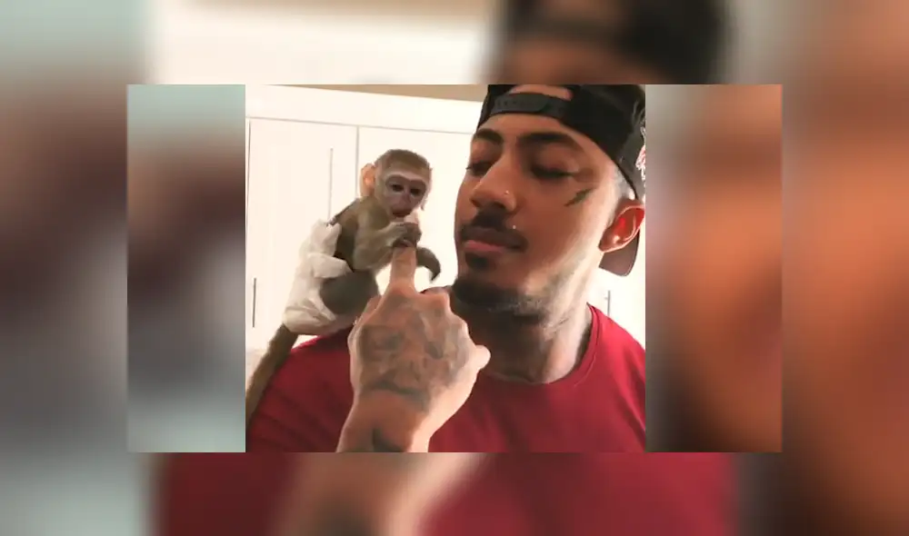 YouTube viral: Joven adopta a un mono y lo cuida como si fuera su bebé [VIDEO]