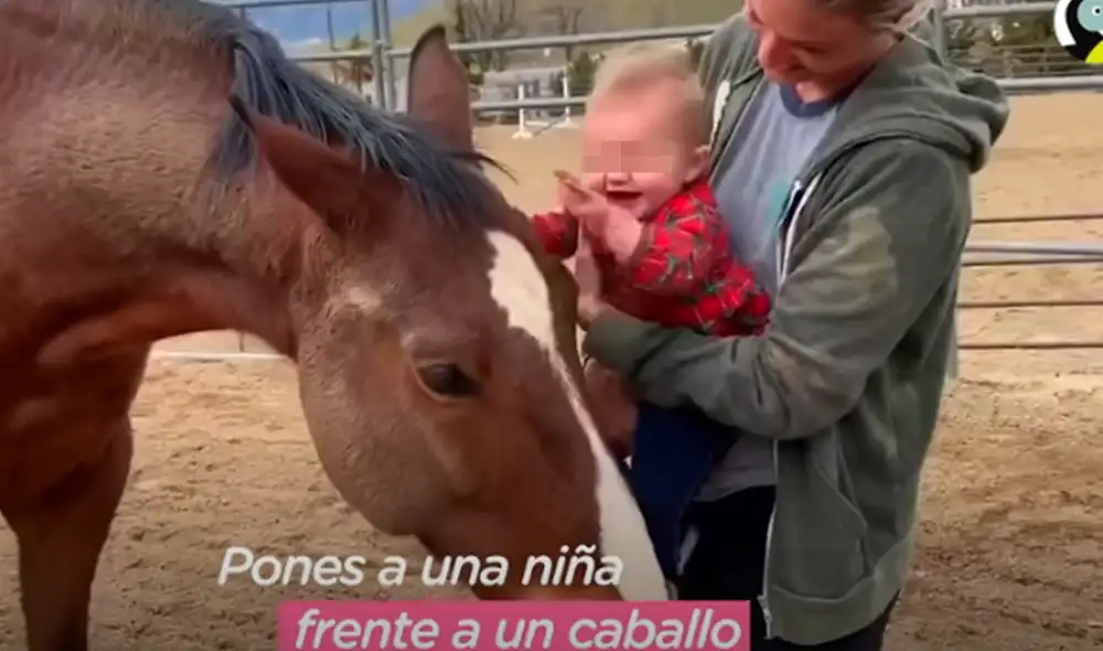 Desliza hacia la izquierda para ver las imágenes del video viral. Foto: captura de YouTube. Desliza hacia la izquierda para ver las imágenes del video viral. Foto: captura de YouTube.