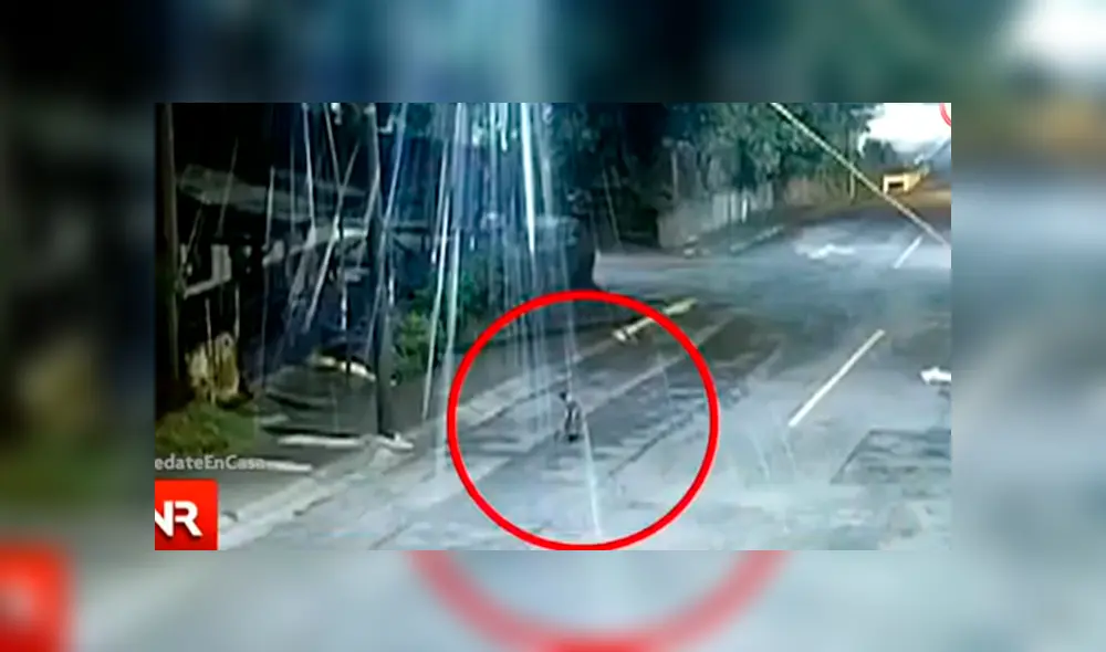 Desliza la imagen de Facebook para ver cómo dio 'aviso' a la policía el can. Foto: Noticias Repretel